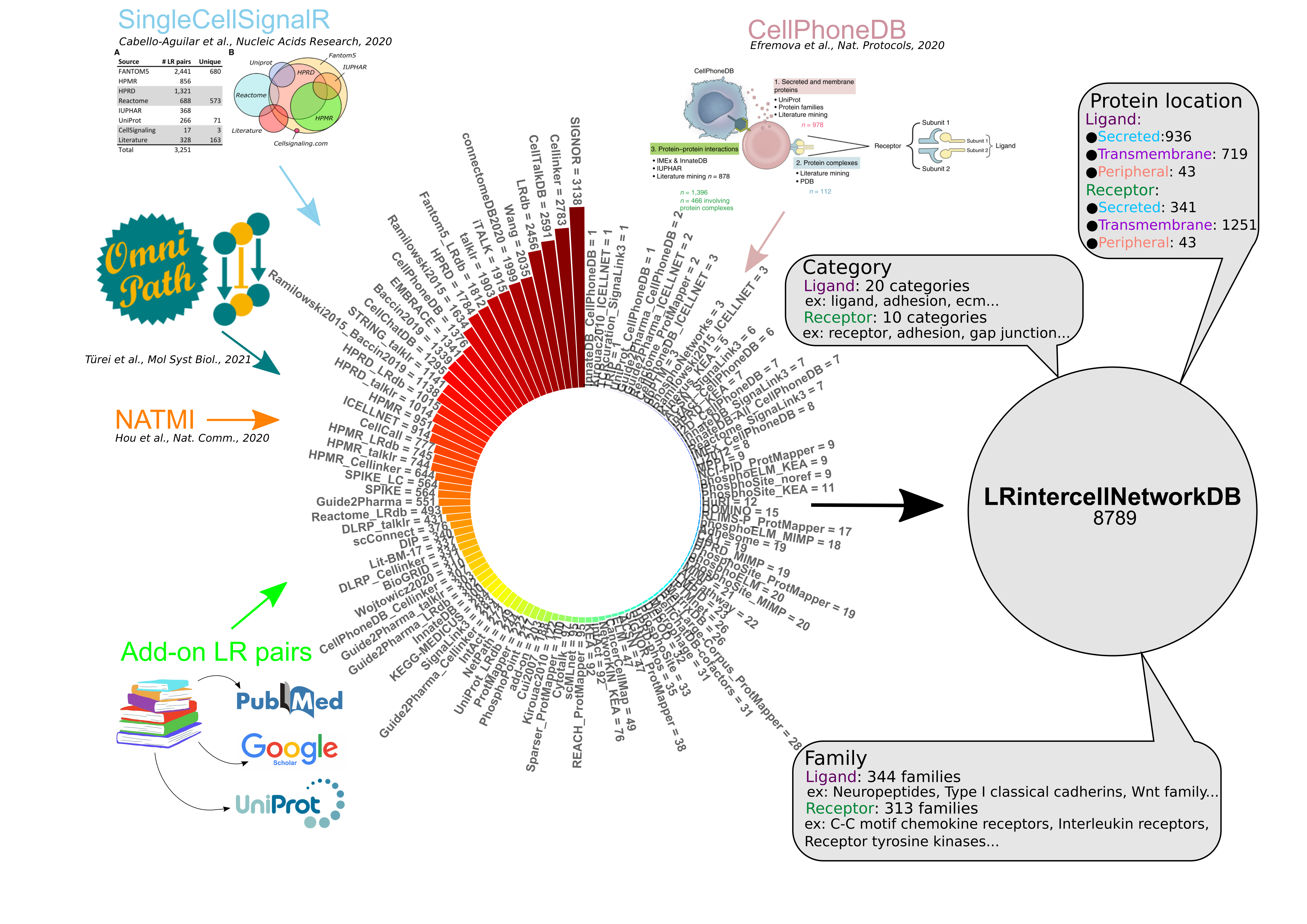LRintercellNetworkDB