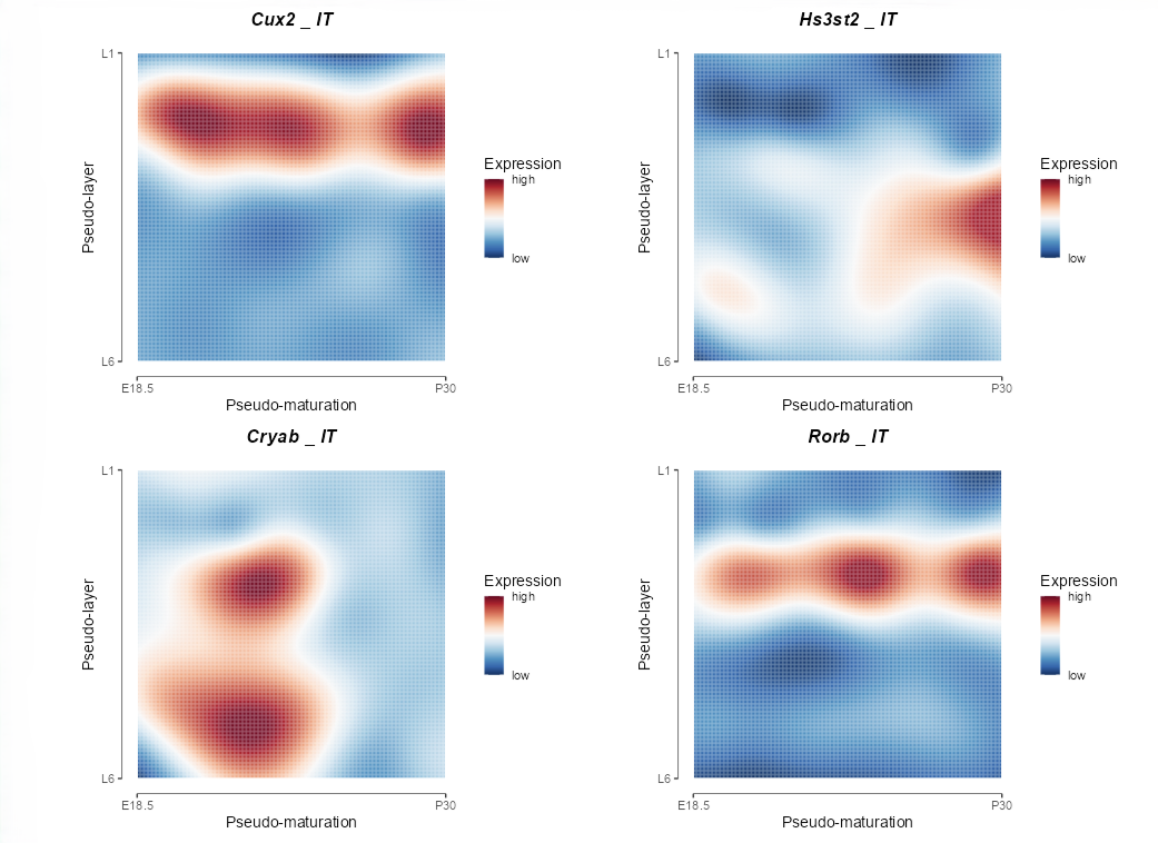 Transcriptional landscape